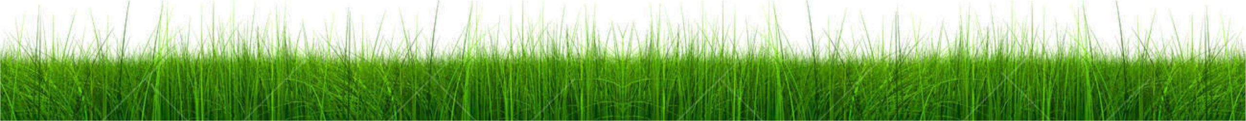 Landscape and pool products - image grass-scaled on https://avario.ae